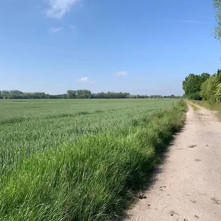 Lägenhet In Near The