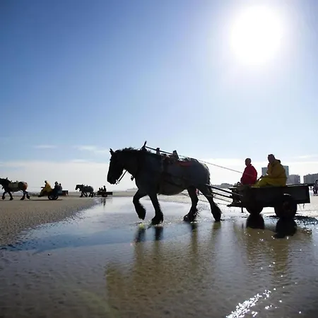 In Near The Διαμέρισμα