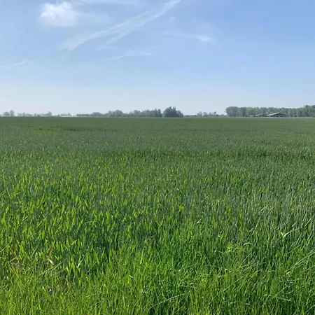 In Near The Nieuwpoort