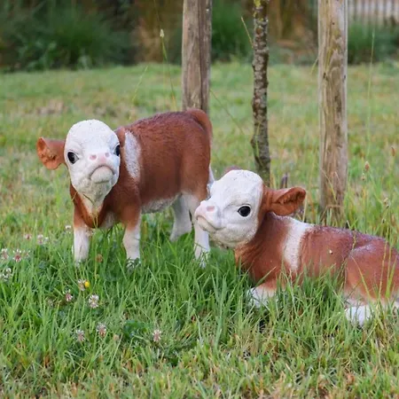 In Near The * ניופורט